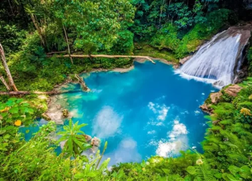 Blue Hole Jamaica Private Tour – The Ultimate Experience for First-Time Visitors